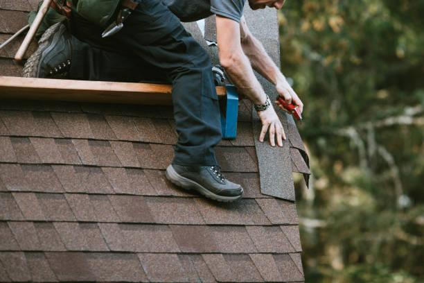 Roof Gutter Cleaning in Alturas, FL